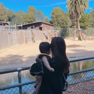 Zoo day动物园🦒🐘Ootd｜湾区遛...