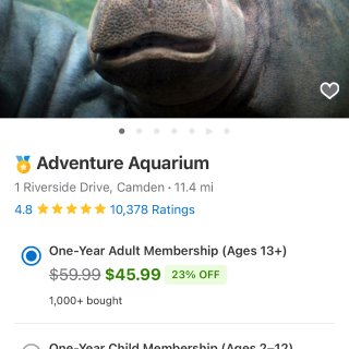 Adventure Aquarium - From $31.99 - Camden, NJ | Groupon