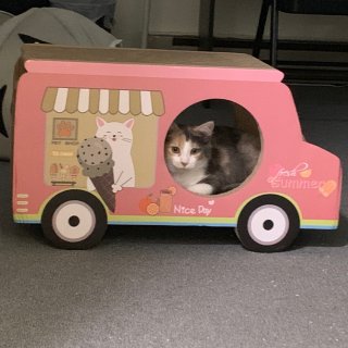 淘宝转运的猫抓板小车车
