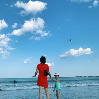 波士顿海滩沙雕展 | 看飞机好大...
