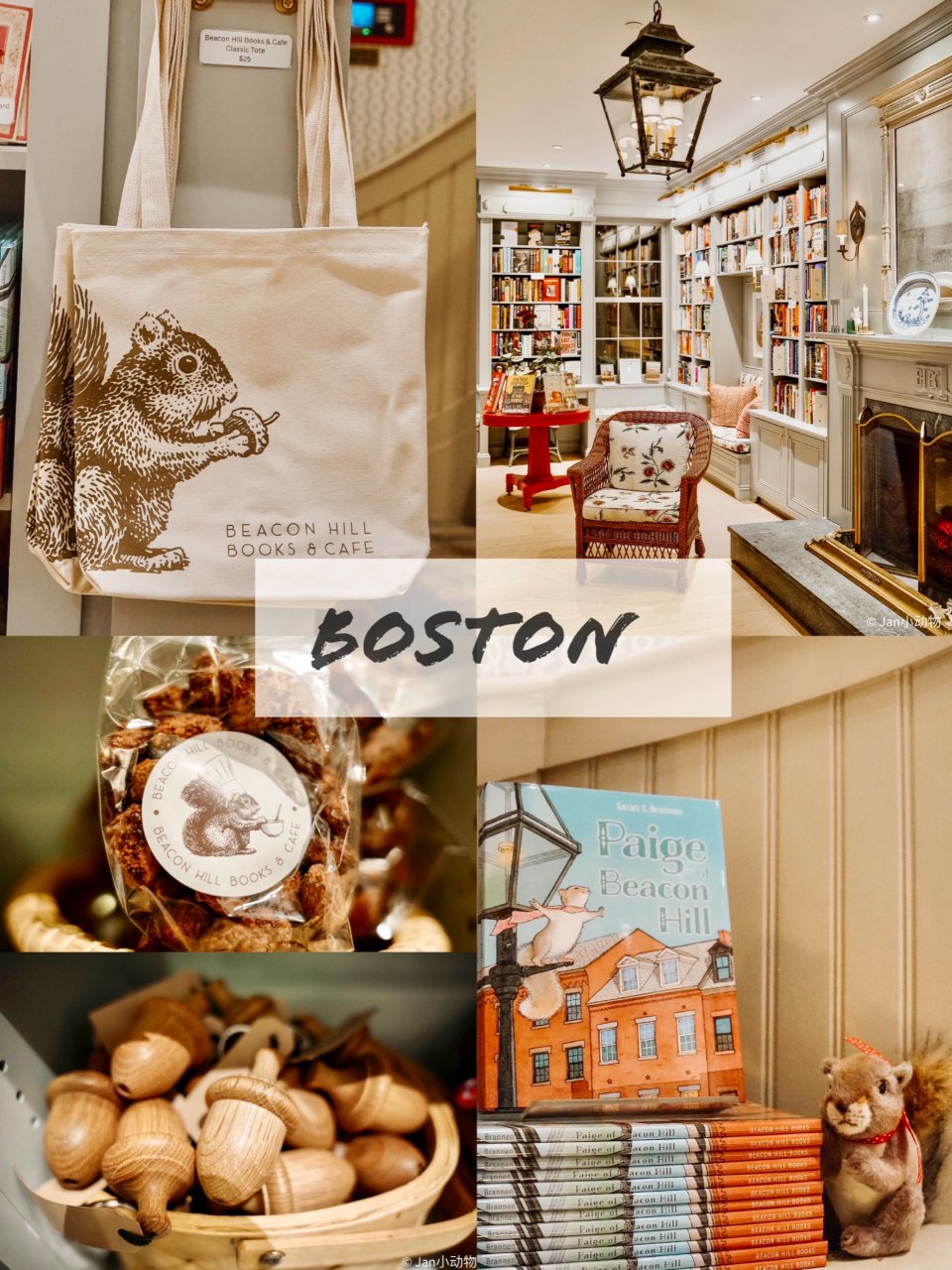 波士顿｜这个书店里，全是小松鼠🐿️(上)...