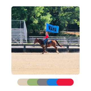 Horse Show🐎