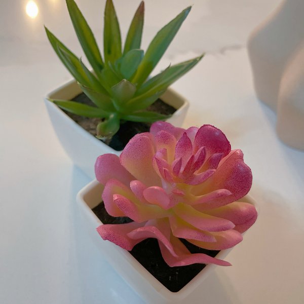 晒货图片