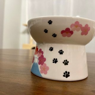 高颜值&高质量的陶瓷高脚猫碗｜NECOI...