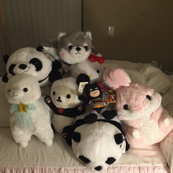 笔记图片