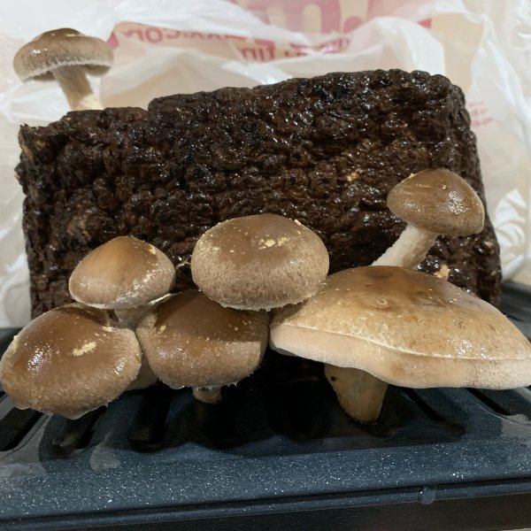 晒货图片