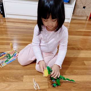 【宅家陪娃玩儿什么】Lego恐龙🦖拼拼，...