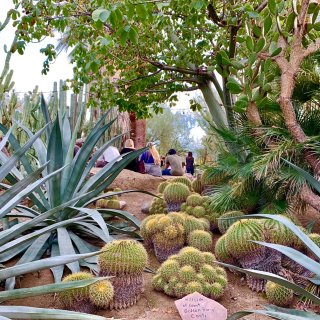 加州悠闲小众温泉旅游目的地Palm Sp...