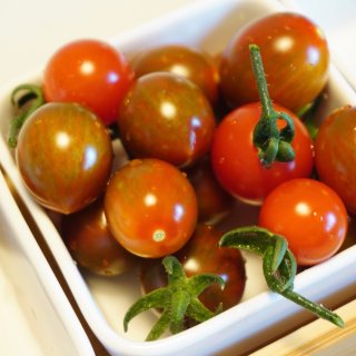 收获的喜悦｜ 花盆里也可以丰收番茄...