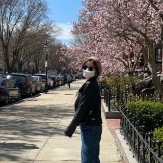 波士顿の春天太美啦🌸...
