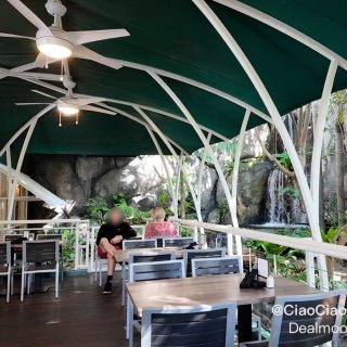 圣地亚哥｜🦍动物园里的热带雨林餐厅🌴...