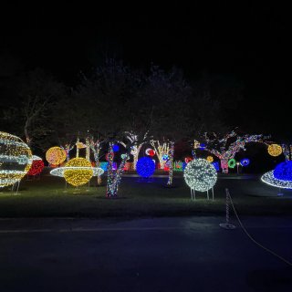 Houston太空中心圣诞🎄灯光展...