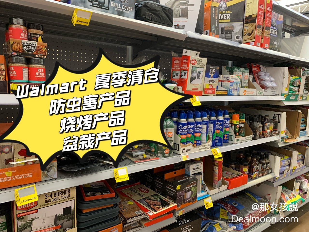 Walmart夏季产品清仓❗️除虫害盆栽...