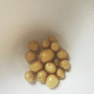 断·舍·离｜青铜土豆🥔种植记-收货啦！...