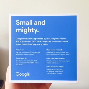 Day 4 | 免费的Google Home Mini