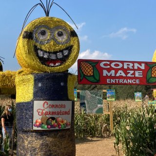 玉米地迷宫～美国乡村农家乐体验...