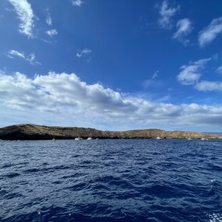 夏威夷｜茂宜岛月亮湾必来浮潜太美啦...