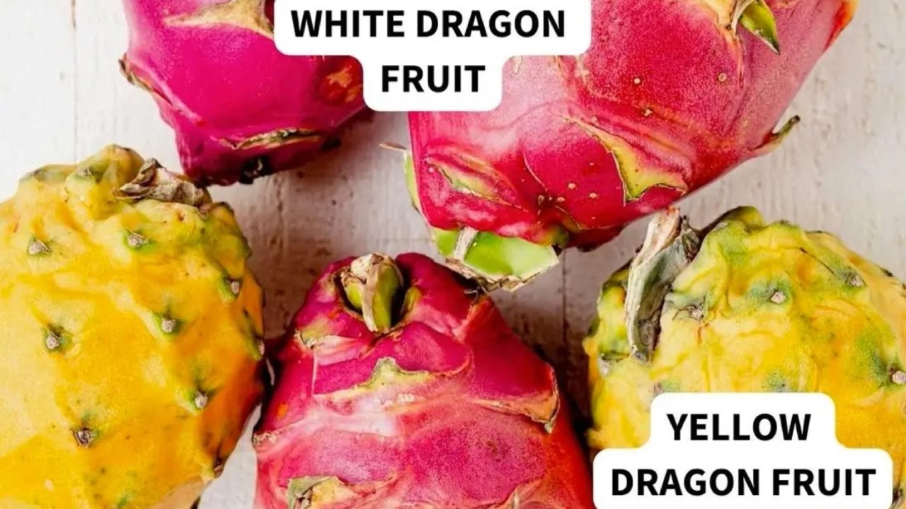 有谁吃过黄肉火龙果？ Dragon Fruit 分类