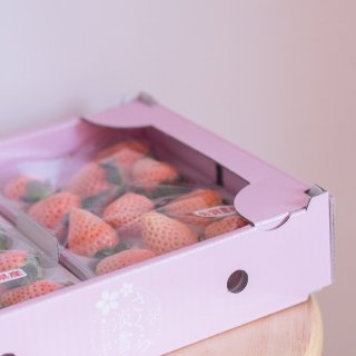 🍓日本の粉紅色草莓🍓...
