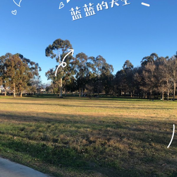 晒货图片