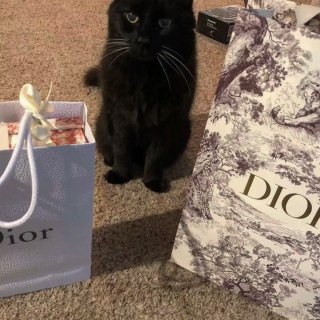 Dior买不停
