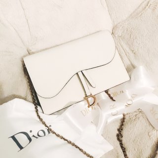 Dior 迪奥,今天背了这只包,包包