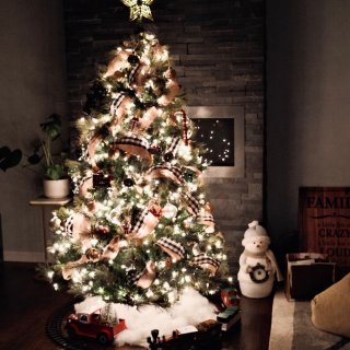 一棵三岁的圣诞树🎄...