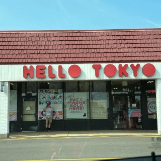芝加哥周边：日本小商品店hello To...