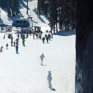 3月中 Mt Rose 滑雪...