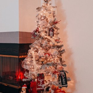 迟到的圣诞树 | 只花50刀打造一颗圣诞...