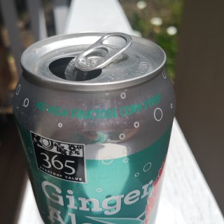 ginger ale soda