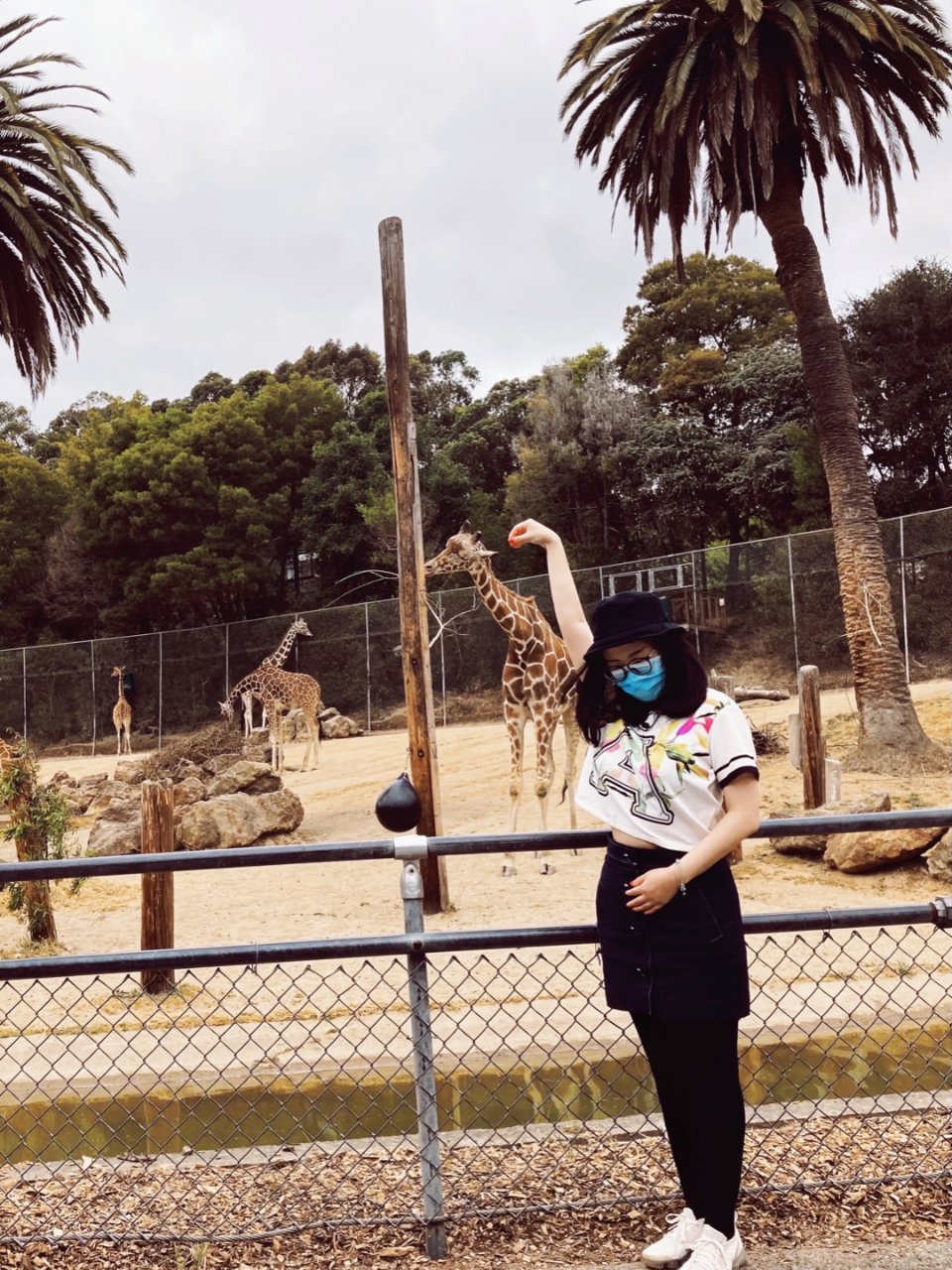 Oakland Zoo #2|动物园和动...