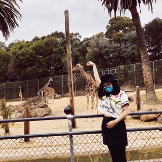 Oakland Zoo #2|动物园和动...