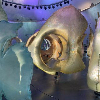 sea glass carousel—梦...