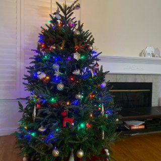 #真圣诞树