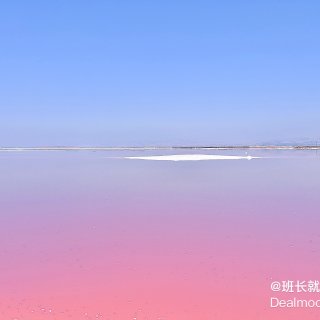 滤镜下的粉红湖｜Alviso Park...