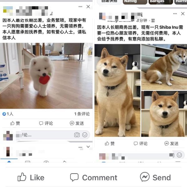 晒货图片