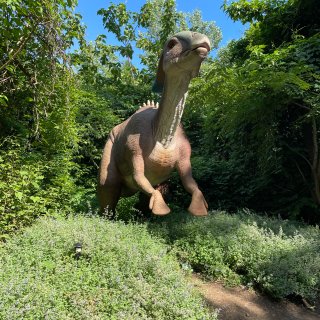 纽约布朗克斯动物园恐龙日，6月24日开始...