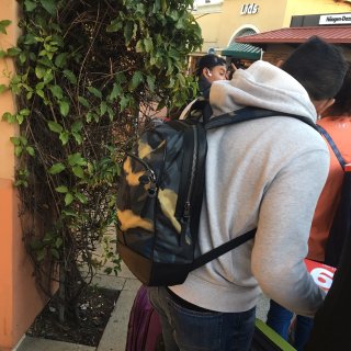 血拼的日子怎能错过...