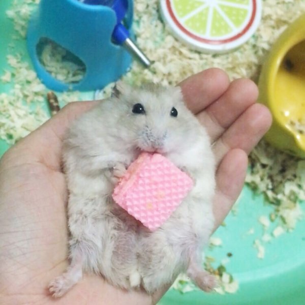 笔记图片