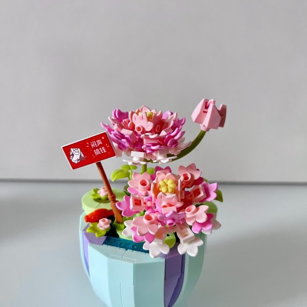 晒货图片