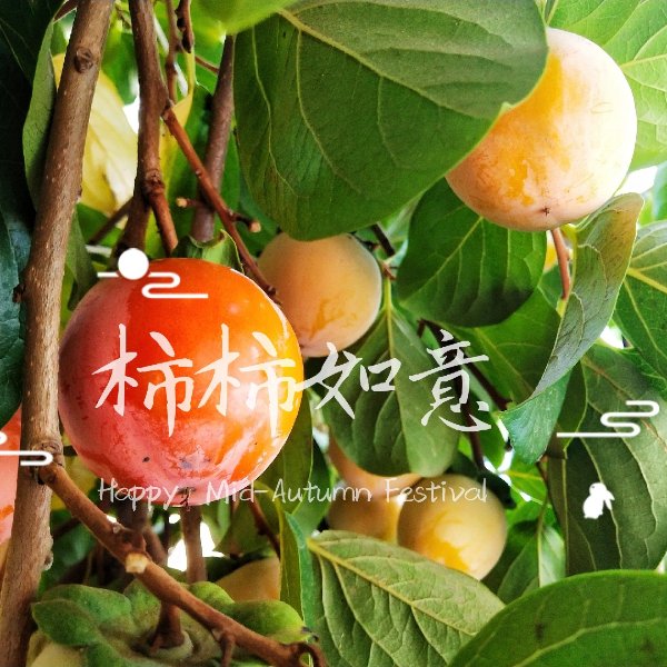 晒货图片