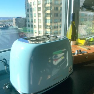 Amazon.com: REDMOND 2 Slice Toaster Retr