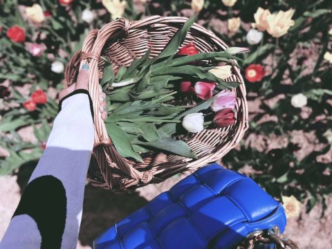 VA｜郁金香部落 你值得拥有🌷