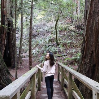 北加州灣區紅木溪流步道，走在侏羅紀公園的...