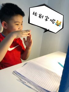 HanTok让孩子在家轻松学习地道中文