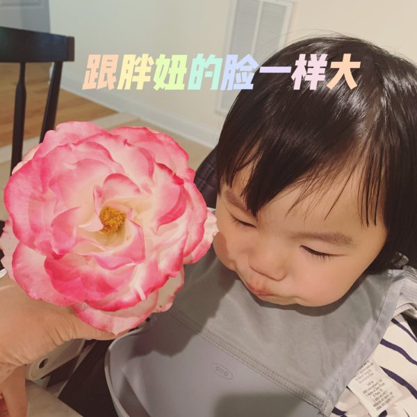 晒货图片
