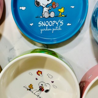 Snoopy控冲🔥5个碗加盖👍39RMB...