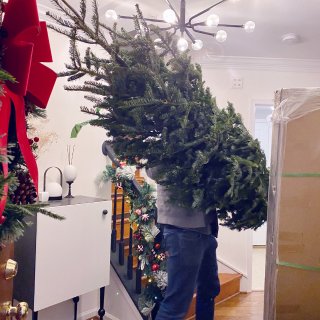 圣诞家居特辑(3): 终于把梦中情树搬回...