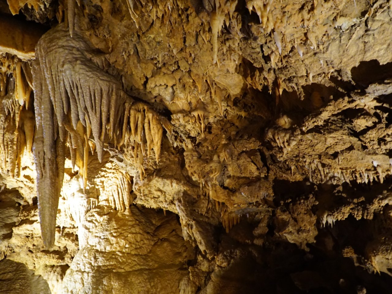 鍾乳石…大 追溯大自然的鬼斧神工｜SHASTA Caverns | 社区旅行精选